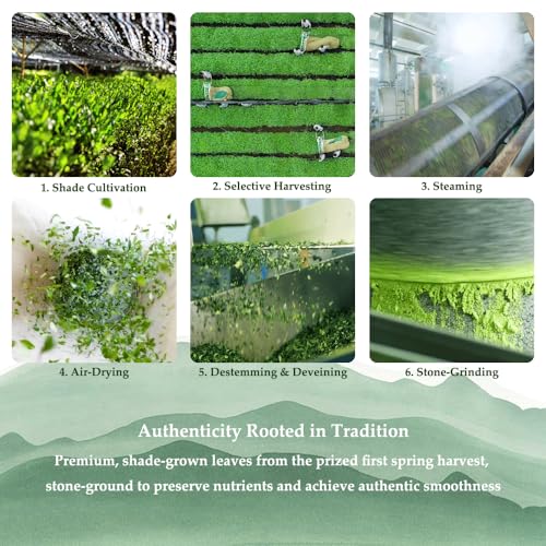 Premium Culinary Grade, 100% Pure Green Tea Powder, Perfect for Lattes, Smoothies, Desserts and Baking, Sugar Free, Gluten Free (350g / 12.3oz Tin Can)