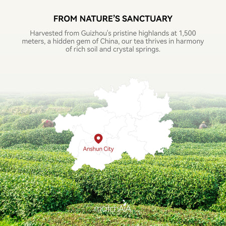 Premium Ceremonial Grade Organic Matcha Powder (40g / 1.4oz Tin Can) matchaia