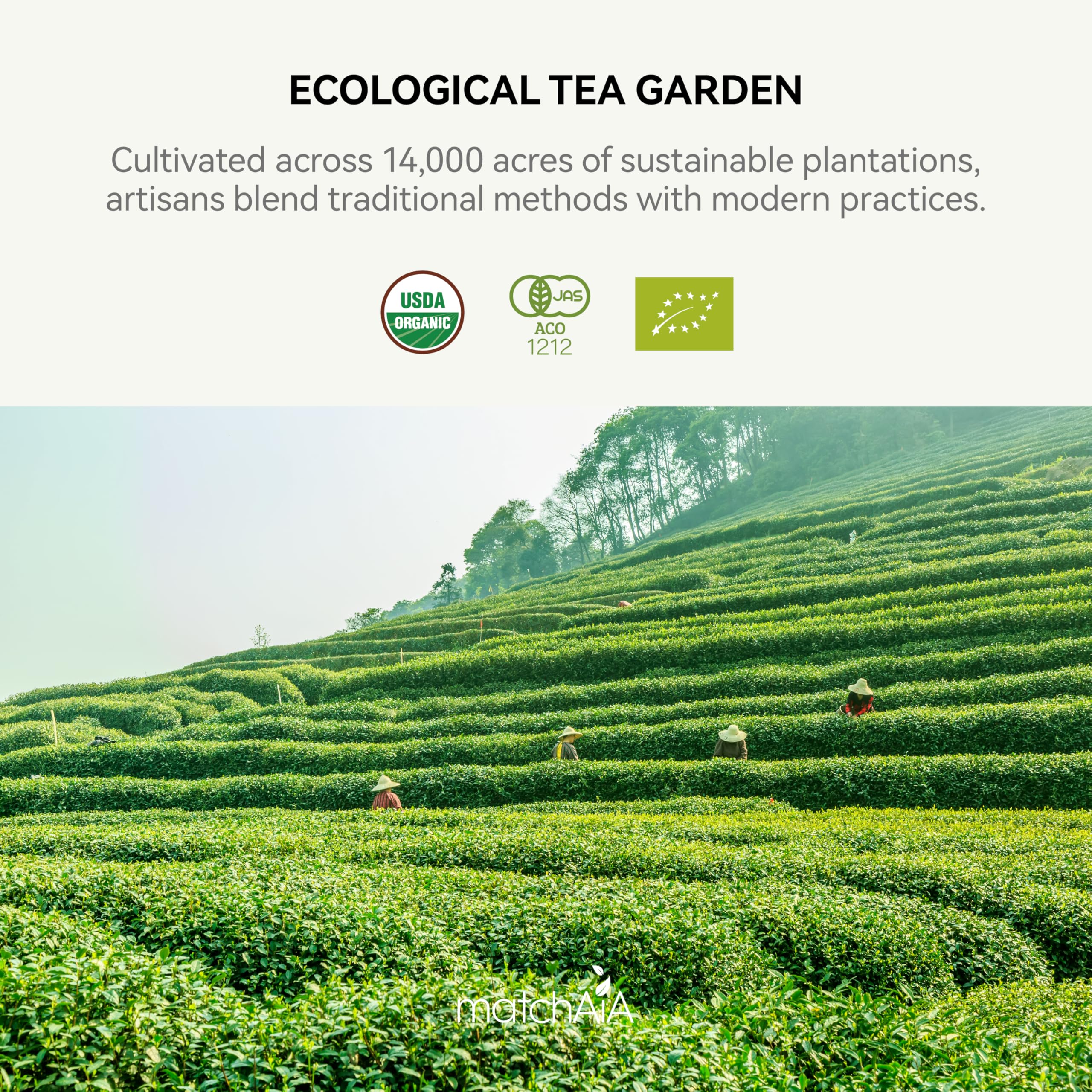 Superior Ceremonial Grade Organic Matcha Powder (40g / 1.4oz Tin Can) matchaia