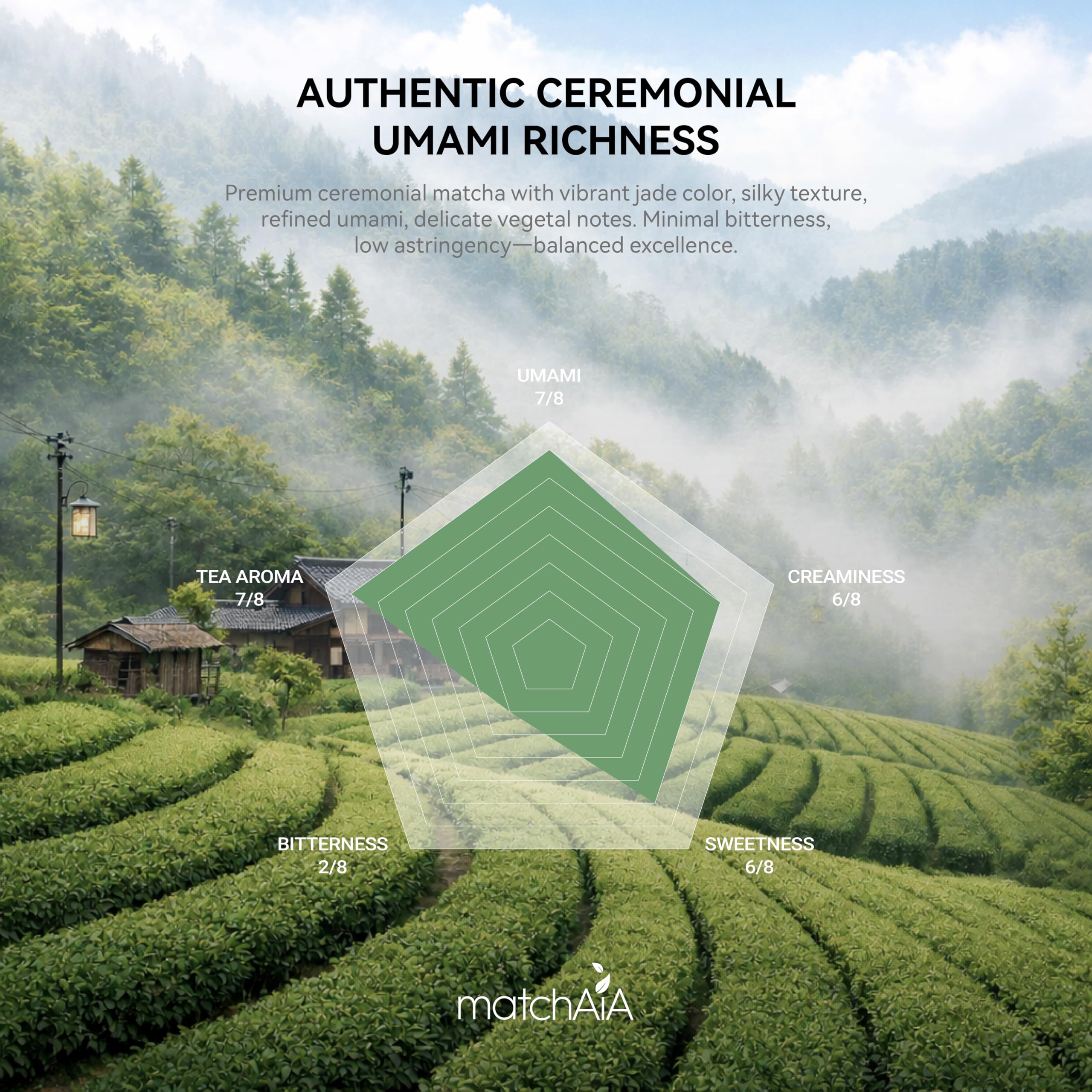 Superior Ceremonial Grade Organic Matcha Powder (60g / 2.1oz Tin Can) MatchAiA